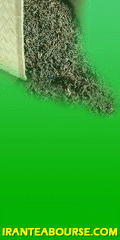 بورس